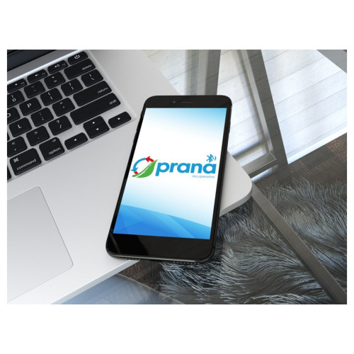Рекуператор PRANA 150